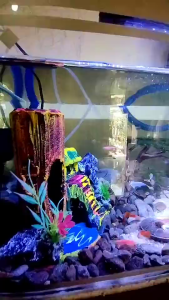 Lampu LED Celup Aquarium Aquascape 40 cm L400 T4 Putih Biru Promo Murah