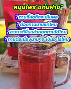 แก่นนางพญา ชาแก่นนางพญา ชาสมุนไพร (1ห่อ 30 ซองชา) ชากุหลาบ สมุนไพรบำรุงร่างกาย ✔กระชับมดลูกทำให้มดลูกเข้าอู่เร็ว