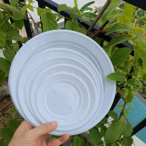 SET 50 Đĩa nhựa dùng 1 lần Mạnh Đức - Đủ size