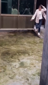 20/30cm Long Handle Floor Scrub Brush & Moss Floor Stain Remover: A Comprehensive Guide