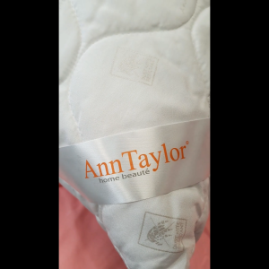 Ann Taylor Pillow Protector (2pcs) | Micro Peach Fabric Anti-Dust Mite