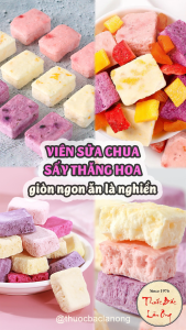 100g Sữa chua sấy giòn sấy thăng hoa không đường ít chất béo vị trái cây tự nhiên - Lãn Ông
