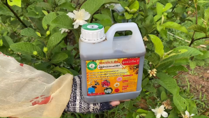 น้ำหมักปลาสูตรสำหรับเร่งดอก เร่งการติดผล ขนาด 1 ลิตร