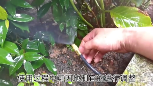 Bộ phun sương uốn cong 101520 béc bằng đồng dùng ống 10mm