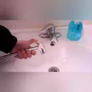 Complete Bidet Shower Sprayer: 4-in-1 Wall Mounted Matte Black Bidet Set