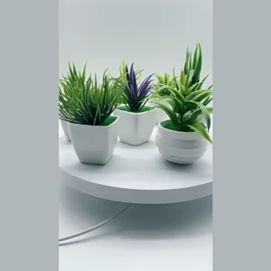 Homehack ต้นไม้ปลอม ต้นไม้แต่งบ้าน ต้นไม้แต่งห้อง อโลเวร่าแคระ Mini Aloe vera ว่านหางจระเข้ ต้นไม้จิ๋ว