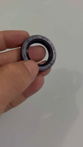Seal Magnet Vario 125 150 PCX eSP Original