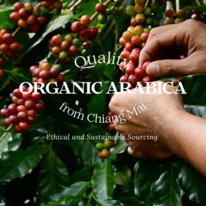 กาแฟออร์แกนิค ม่อนดอยหลวง ไพร์ม (200 กรัม)