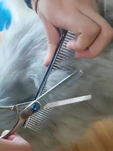 Gunting Hewann Profesional Stainless Steel Gunting Kucing Anjing Grooming Hewan 5 Buah Set Grooming