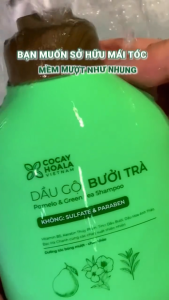 Combo Bô Gội + Xả Bưởi Trà Cỏ Cây Hoa Lá 500gram - Phục Hồi Tóc Hư Tổn Chẻ Ngọn
