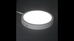 LED Downlight Surface Downlight 18W 24W 30W Black White Lampu downlight siling plaster Home Lighting Mounted LED Panel