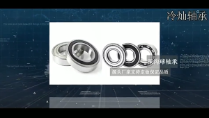 ตลับลูกปืนร่องลึก ลูกปืนความเร็วสูง มีเกราะป้องกันทั้งสองด้านของตลับลูกปืนเพื่อป้องกันไม่ให้ฝุ่นเข้ามา