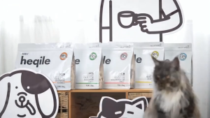 Hạt mix topping gà cá hồi sấy lạnh cho mèo thú cưng túi 15kg - Medipet