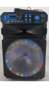 FT-Star FPA-1212 12" Inches Trolley Speaker