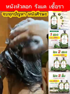 แชมพู พญายอพลูคาว 1ขวด269.-แก้คัน เชื้อรา กลากเกลื้อน ผมร่วง ของแท้จากบริษัท