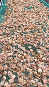 500gr Khô Gò Má Cá Lóc Thịt Nhiều 3 Nắng Ướp Vừa Ăn ít mặn dai thơm- VỰA KHÔ MINH TRIẾT