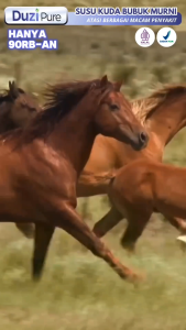 Duzi Pure 100% Original Atasi Nyeri Sendi & Tulang Bubuk 200 Gram