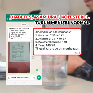 Jossvit Obat Herbal Kaspul Diabetes Impotensi Kolesterol dan Asam Urat Original 100% Ampuh