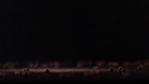 Mazza Spice Essential Bundle meat curry powder / rempah kari daging / kari ikan / rempah kurma / red chilli powder / turmeric powder / cumin / fennel / coriander