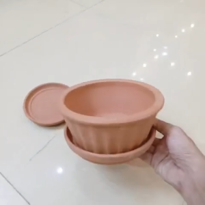 Chậu đất nung trồng sen đá hình sọc cho xương rồng cây cảnh mini cây cảnh để bàn
