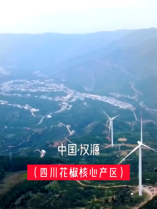 Sichuan Authentic Red Peppercorn Dry Good Spice Rattan Pepper Powder 四川 大红袍 花椒粒 麻椒 干货 香料 藤椒粉 YC65