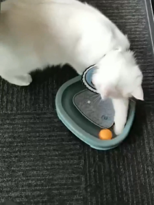 Wantech MagicalTriangle ของเล่นแมวอัตโนมัติ ของเล่นแมวรูปทรงสามเหลี่ยม ของเล่นแมว