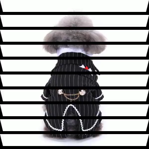【Discount】 Whisker Dog Clothes Male for Shih Tzu Pet Wedding Suit Formal Tuxedo Vertical Striped Puppy Shirt Gentleman Dog Cat Gowns