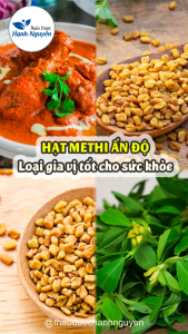 Hạt Methi Ấn Độ 100g hạt cỏ ca ri nhập khẩu có xuất hóa đơn - Thảo Dược Hạnh Nguyên