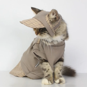 Baju Kucing Anjing Aksesoris Hewan Lucu Cowok Cewek - Zea Kitty Shirt One Set