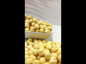 kacang arab al madinah 500gr / oleh-oleh haji dan umroh - kacang panggang - SHABANI STORE