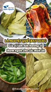 Lá nguyệt quế 1kg (Lá thơm khô bay leaf gia vị thảo mộc) Hương Vị Món Ăn Địa Trung Hải Công Dụng Sức Khỏe Của Lá Nguyệt Quế - Lazada