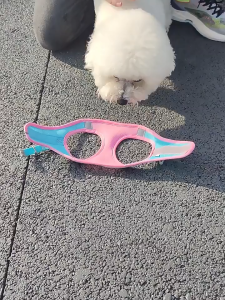 Rompi Anjing Kucing Gratis Tali Tuntun Anjing Kucing Kelinci dengan Pengikat Reflektif | Harness Vest Dog Cat Glow In The Dark | Harness Bahan Mesh Lembut Dengan Busa Untuk Anjing Kucing Ukuran Kecil Sedang