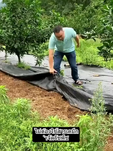 พลาสติกคลุมดินป้องกัน UV ลดการเจริญเติบโตของวัชพืช รักษาความชื้นให้ดิน เหมาะกับสวนและฟาร์ม ทนทานและเห็นผลรวดเร็ว