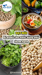 Hạt Mùi / Hạt Ngò Khô ( Coriander Seed ) Cao Cấp 500g Làm Gia Vị Nấu Ăn Phòng Sởi