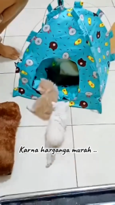 Tenda Kucing Jumbo Free Bantal Model Lipat Tempat Tidur Anabul Bisa Dicuci Banyak Warna dan Motif Aerizoo