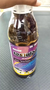 ยกลัง 12 ขวด **เอราฟอส 40%** ราคาทดแทน สารคลอไพริฟอส ออกฤทธิ์กินตาย สัมผัสตาย ไอระเหย กำจัดหนอน เพลี้ยทุกชนิด