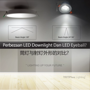 <AUTHORISED DEALER> YETPlus YE56-D 18W LED Surface Mounted Track Light Eyeball Spotlight (Black / White)(3000K Warm White / 6500K Daylight)