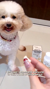 Petavit 2 Bottles 2026 SEPT Expiry  [现货] 宠物维他命  2026 年 9 月到期] FURGLO PLUS Dog Fur Multi Vitamin Glow 2X(100 Tablets x 750mg)