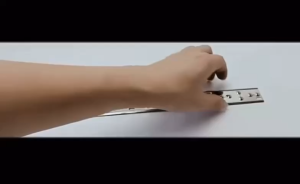 25/33CM Bird Thorn Repeller Bird Pigeon Spikes Deterrent Stainless Steel Home Orchard Balcony Eaves Bird-proof Needle