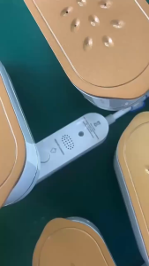 Bàn Ủi Hơi Nước Du Lịch BAUHAUS Tech Hiển Thị Nhiệt Độ Cao Cấp - EuroHome