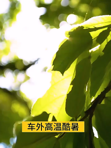 Ô che nắng kính trước xe ô tô COACE Dù che nắng kính trước xe ô tô gấp gọn Dù chống nóng kính lái xe ô tô