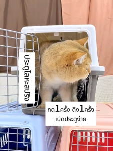 กรงหิ้ว กรงสัตว์เลี้ยง กล่องสัตว์เลี้ยง ขนาดใหญ่ กรงแมว ( แถมแผ่นปูพื้น ) กรงพกพา กรงพาสัตว์เลี้ยงไปเที่ยว