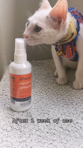 PUAINTA Pet Skin Spray Antifungal for dog and cat Pipot Skin Spray Scabies Itching relieve Antibacterial Non-toxic 50ml