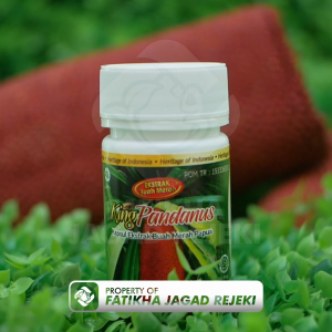 KINGANDANUS HERBAL KOLESTROL DIABETES | BPOM | BISA COD | FREE ONGKIR