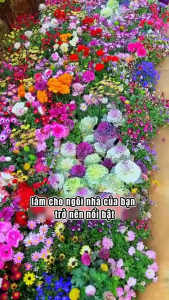 Hạt Giống Hoa Mix Nhiều Loại - Gói Lớn