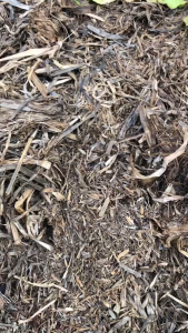 COMBO 5 BỊCH - RƠM MỤC TRỒNG CÂY - RƠM CŨ HOAI MỤC  - GIÁ THỂ RƠM KHÔ-  MAI HUY SINCE 2008