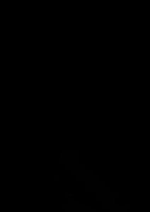 GFOXX ELIXIR PLACENTA Stem Cell Therapy Premium