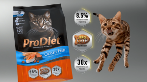 ProDiet 1.3KG Kitten Miky Ocean Fish Dry Food x 3 Packs