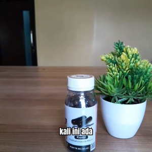 Habbats Habatussauda Murni 100 kapsul | Habbats Herbal kapsul untuk Membantu Proses Pengeluaran racun dari Tubuh/Detoks