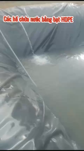 Bạt lót màng chống thấm HDPE [6m x 4m ] 0.3mm